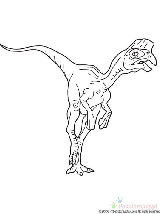 Owiraptor - kolorowanka do druku dla dzieci