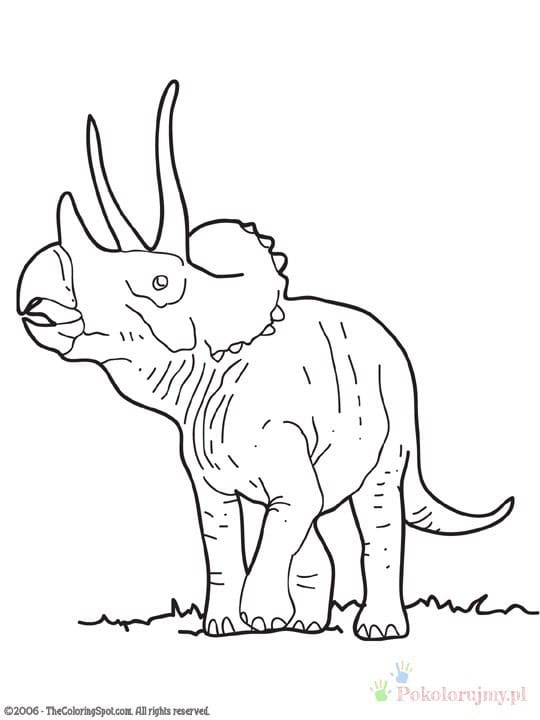 Triceratops - kolorowanka do druku dla dzieci