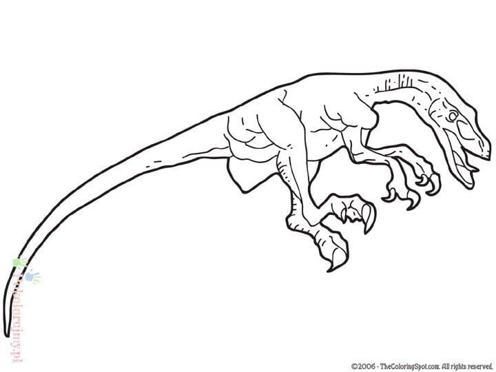 Welociraptor - kolorowanka do druku dla dzieci