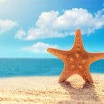 Rozgwiazda na plaży, idealna do kolorowania dla dzieci.