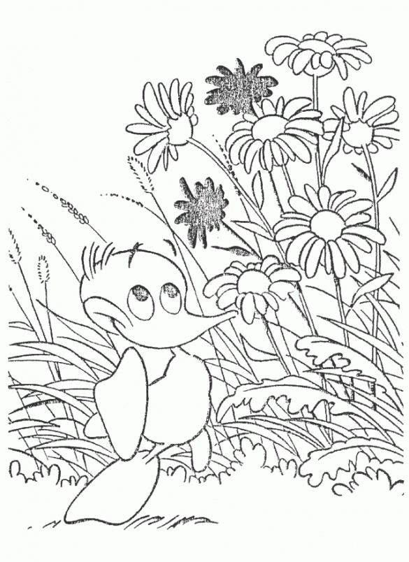 Alfred Kwak -kolorowanki (9)