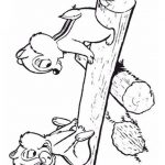 Kolorowanki Chip i Dale do wydrukowania dla dzieci.