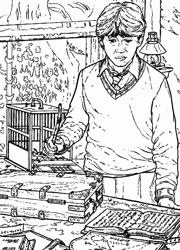 Kolorowanki dla dzieci – Harry Potter (103)