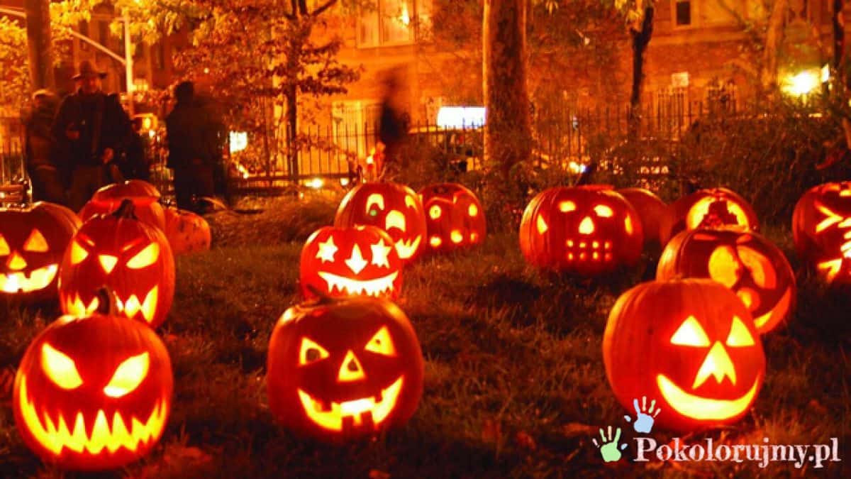 Oświetlone dynie na Halloween z różnymi wyrazami twarzy.