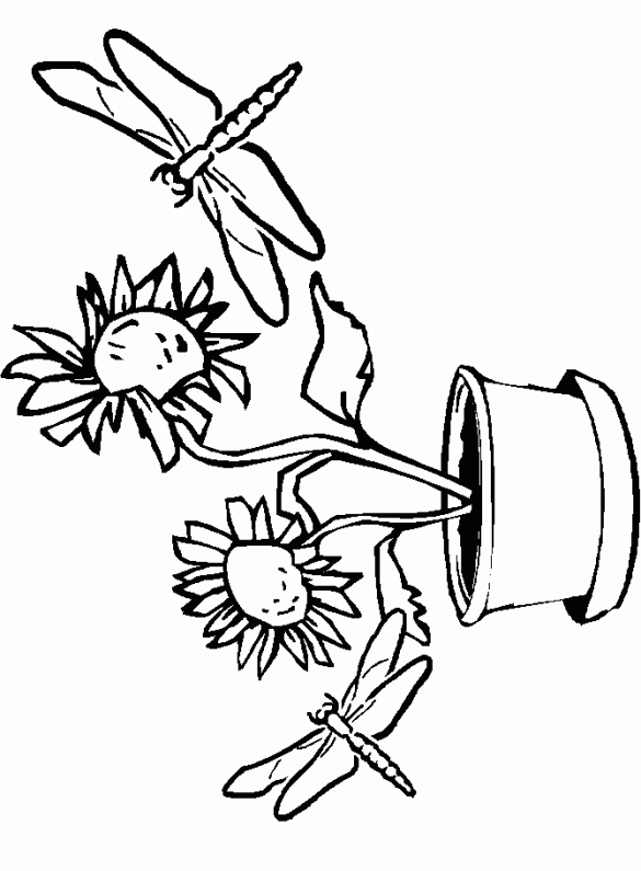 Ważki – Kolorowanki dla dzieci (9)