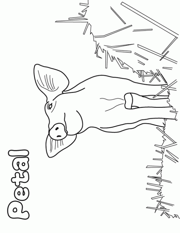 Wesoła farma – kolorowanki (4)