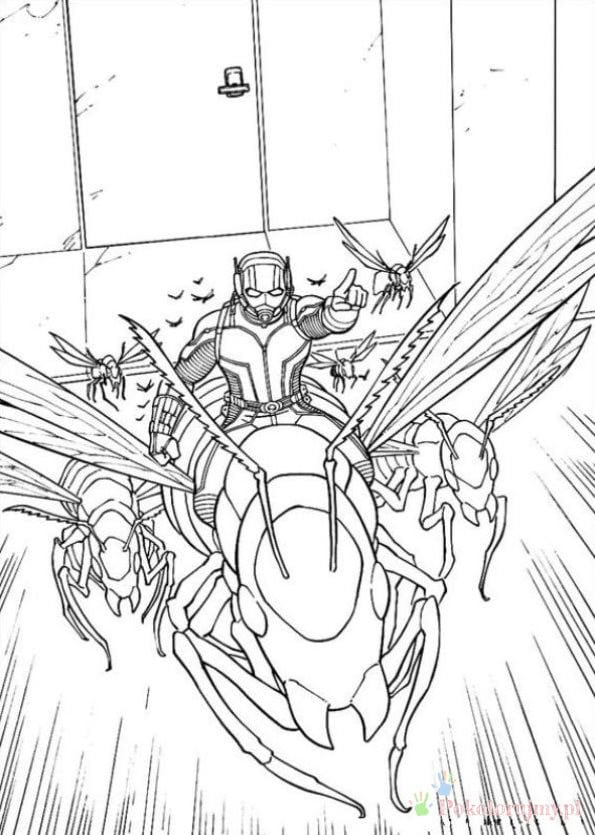 Ant-Man na skrzydlatej mrówce w locie Ant-Man lecący na dużej skrzydlatej mrówce - dynamiczna kolorowanka
