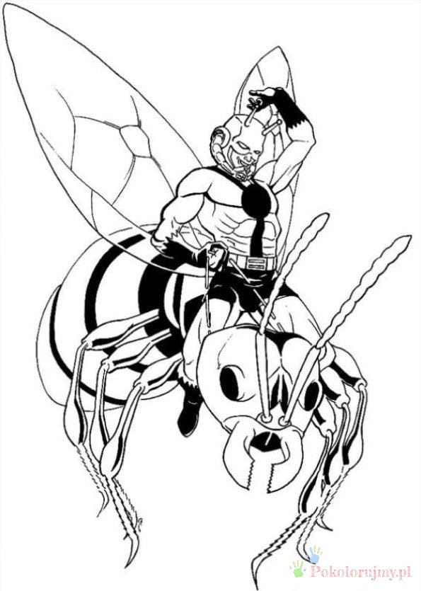 Bohater leci na ogromnym skrzydlatym owadzie Bohater siedzący na grzbiecie ogromnego skrzydlatego owada - kolorowanka Ant-Man