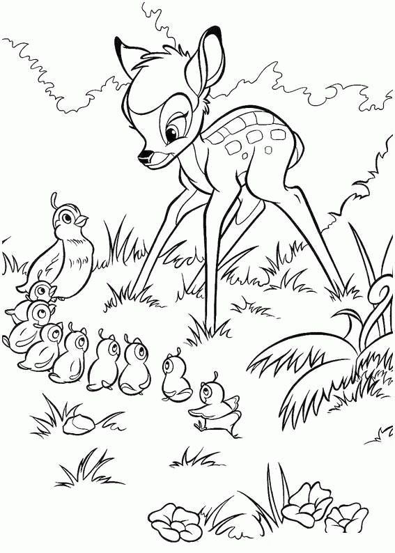 Bambi i rodzina kaczek Bambi obserwujący kaczkę prowadzącą rząd kaczątek - kolorowanka do druku