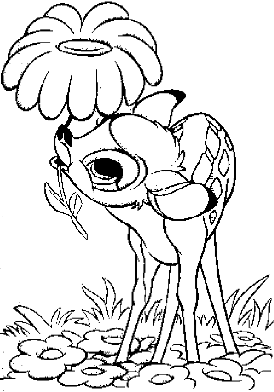 Bambi i wielki kwiat Bambi pochylający głowę pod dużym leśnym kwiatem - kolorowanka do druku