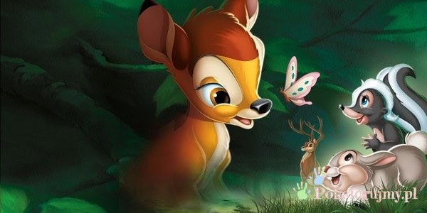 Bambi z Tuptusiem, Kwiatkiem i motylem w kolorowym lesie