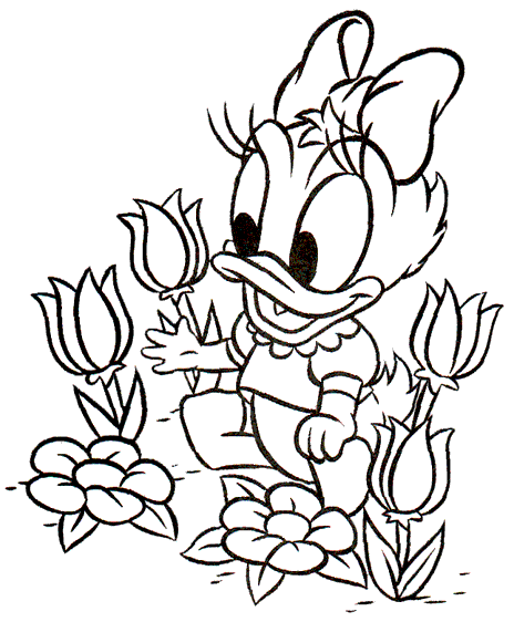 Daisy wśród tulipanów Daisy wśród tulipanów i innych kwiatów - kolorowanka