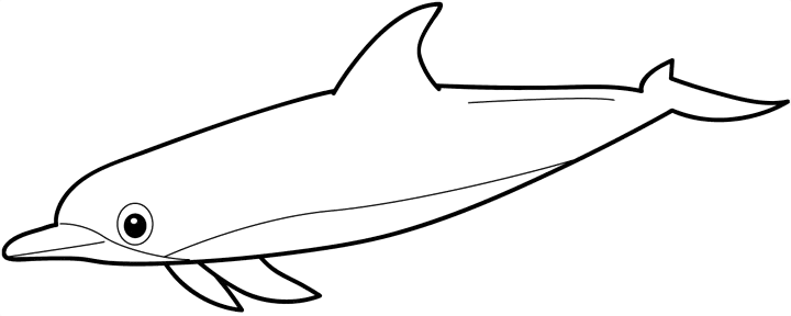 Delfin widziany z boku Delfin widziany z boku z długim pyskiem - kolorowanka do druku