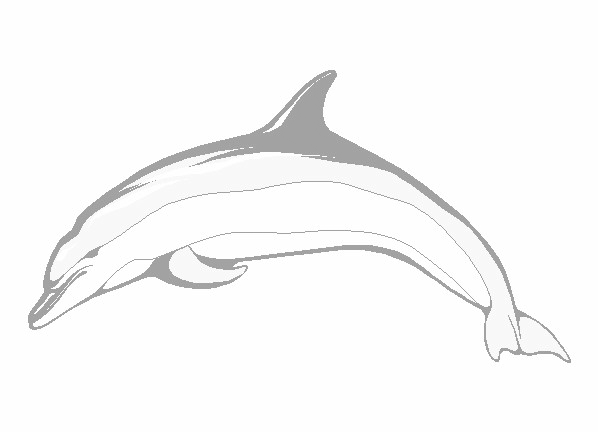 Delfin w skoku z profilu Delfin w długim skoku nad wodą - prosta kolorowanka