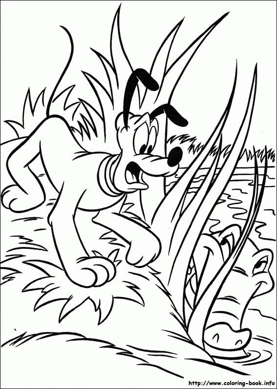 Goofy spotyka krokodyla - kolorowanka Goofy przestraszony krokodylem w trzcinach - kolorowanka