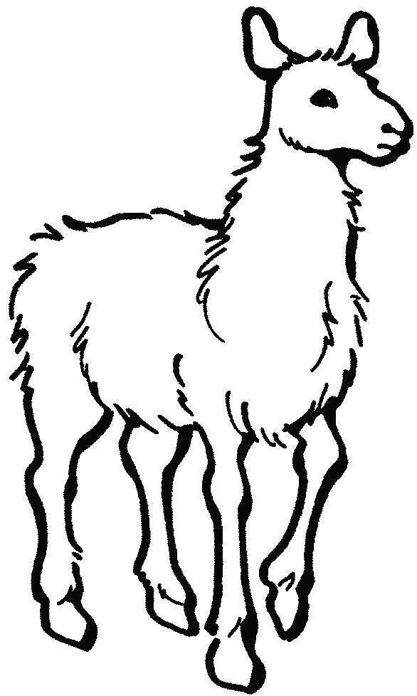 Lama - kolorowanka do druku Lama - czarno-biała kolorowanka do wydrukowania