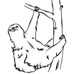 Prosta czarno-biała ilustracja leniwca na drzewie do kolorowania.