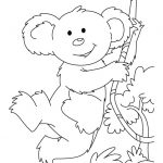 Koala na drzewie do kolorowania, idealna do druku i zabawy.