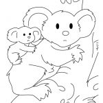 Kolorowanka koala i młody koala do wydrukowania.