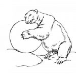 Kolorowanka niedźwiedzia polarnego z kulą do druku.