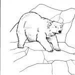 Kolorowanka niedźwiedzia polarnego na lodowcu do wydrukowania.