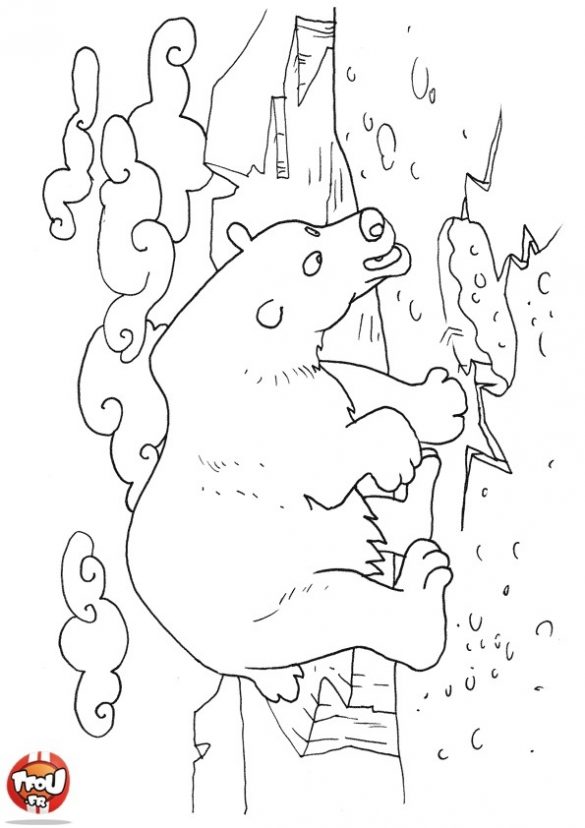 miś polarny – kolorowanka