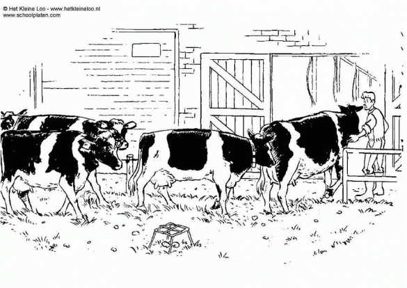 produkcja mleka, jedzenie – kolorowanka (27)
