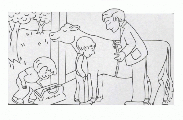 produkcja mleka, jedzenie – kolorowanka (31)