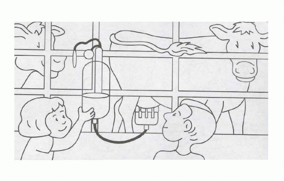 produkcja mleka, jedzenie – kolorowanka (37)