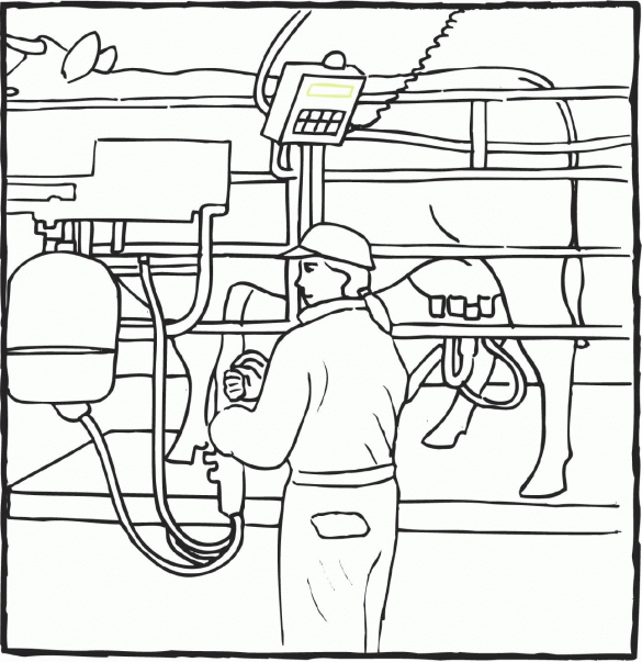 produkcja mleka, jedzenie – kolorowanka (50)