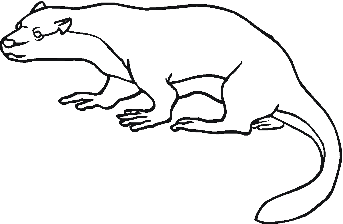 Smukła wydra podczas marszu Smukła wydra idąca nisko przy ziemi - kolorowanka