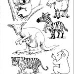 Zwierzęta do kolorowania: koala, zebra, kangur, tygrys, małpa, niedźwiedź koala.