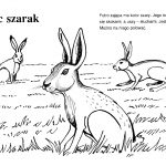 Szara zajączek do kolorowania, idealny do wydrukowania dla dzieci.