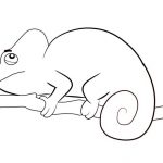 Kameleon do kolorowania, czarno-biała ilustracja dla dzieci.