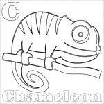 Prosta kolorowanka chameleon do wydrukowania dla dzieci.