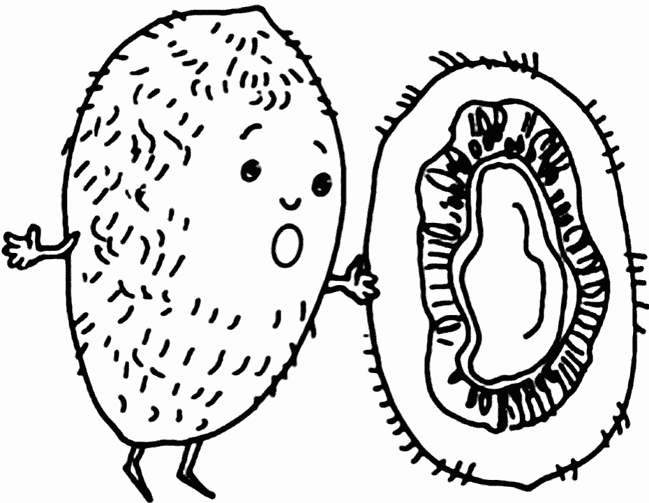 Kiwi w całości i po przekrojeniu Bajkowe kiwi pokazane w całości i po przekrojeniu