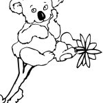 Koala na drzewie do kolorowania dla dzieci.