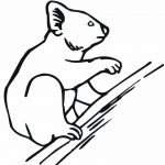 Prosta kolorowanka koala dla dzieci do wydrukowania.