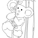 Kolorowanka koala na drzewie do wydrukowania dla dzieci.