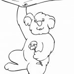 Prosta kolorowanka koala wiszącego na gałęzi drzewa.