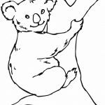 Prosta kolorowanka koala na drzewie dla dzieci.
