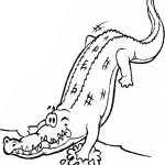 Krokodyl do kolorowania, czarno-biała ilustracja dla dzieci.