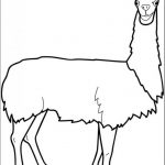Lama do kolorowania dla dzieci, czarno-biała ilustracja.