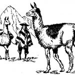Kolorowanka lama i alpaki w górach do wydrukowania.