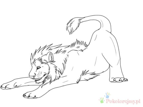 Lew – Kolorowanki dla dzieci (1)