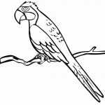 Prosta czarno-biała ilustracja papugi do kolorowania dla dzieci.