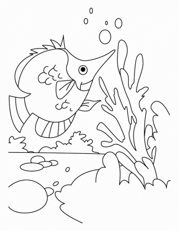 Rafa koralowa – Kolorowanki dla dzieci (6)