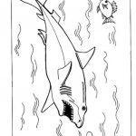 Kolorowanka rekina do druku dla dzieci, czarno-biała ilustracja.