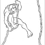 Kolorowanka Tarzan na drzewie do wydrukowania dla dzieci.