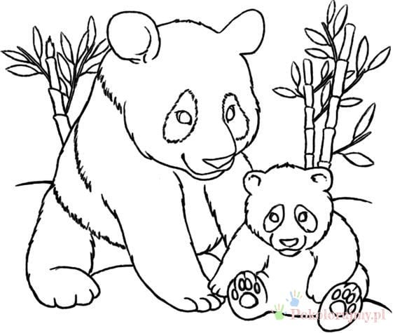 Dorosła panda z młodym Dorosła panda z małym pandziątkiem wśród bambusa - kolorowanka